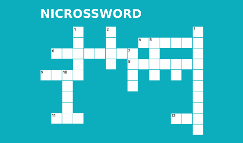 NICROSSWORD