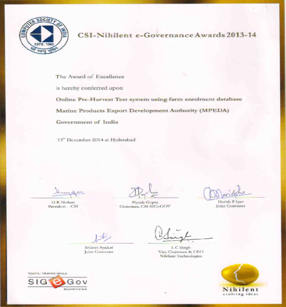 CSI Nihilent Award for Excellence