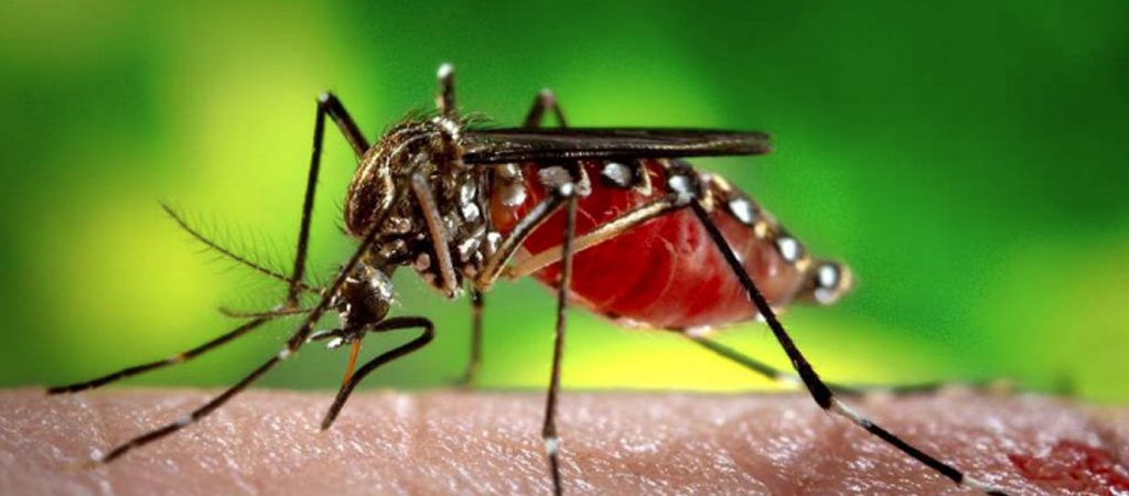 United States Begin Using AI to Review 911 Calls