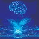 टोंक, राजस्थान: