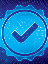Beyond the Audit