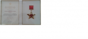 Photograph of Award certificate & Medal